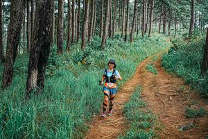 BIB: 
                            <button type="button" onclick="openModal(25654287)" class="btn btn-primary btn-sm float-right btn-popup" data-toggle="modal" data-target=".modal-high-quality">
                        <i class="fas fa-shopping-cart"></i> Add to Cart
                    </button>
                                            <button type="button" onclick="isThisMe(25654287, true)" class="btn btn-success btn-sm float-right btn-popup btn-isme hidden" data-toggle="tooltip" data-placement="bottom" title="นี่คือรูปของคุณใช่ไหม คลิกที่นี่เพื่อเอาเข้าอัลบั้ม">
                        <i class="fas fa-plus"></i> Add to album
                    </button>
                    <button type="button" onclick="isThisMe(25654287, false)" class="btn btn-warning btn-sm float-right btn-popup btn-isnotme hidden">
                        <i class="fas fa-ban"></i> Remove from album
                    </button>